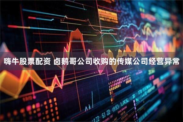 嗨牛股票配资 卤鹅哥公司收购的传媒公司经营异常