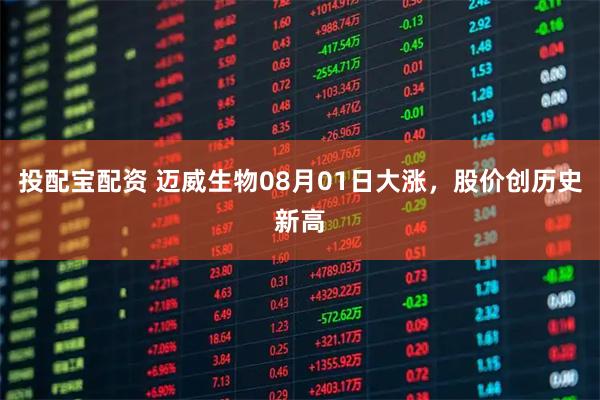 投配宝配资 迈威生物08月01日大涨，股价创历史新高