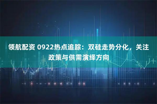 领航配资 0922热点追踪：双硅走势分化，关注政策与供需演绎方向